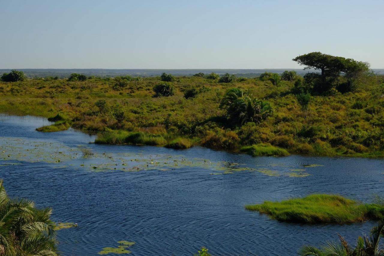 Saint Lucia Estuary African Thistle מראה חיצוני תמונה